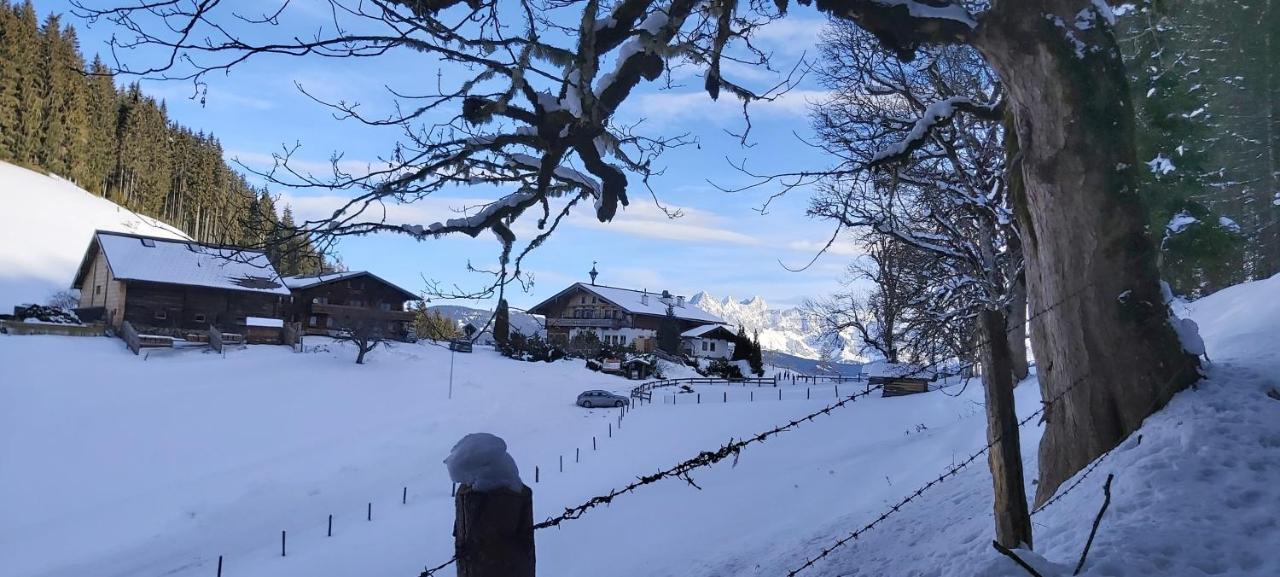 Michis Aparthotel Flachau Eksteriør bilde