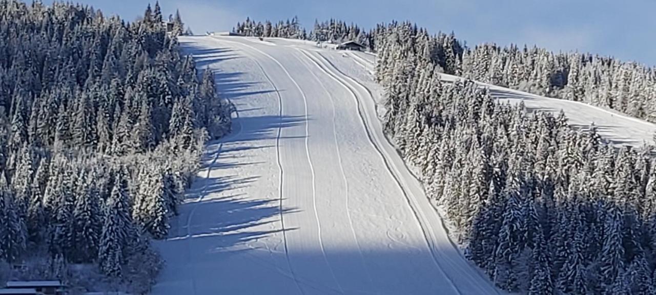 Michis Aparthotel Flachau Eksteriør bilde