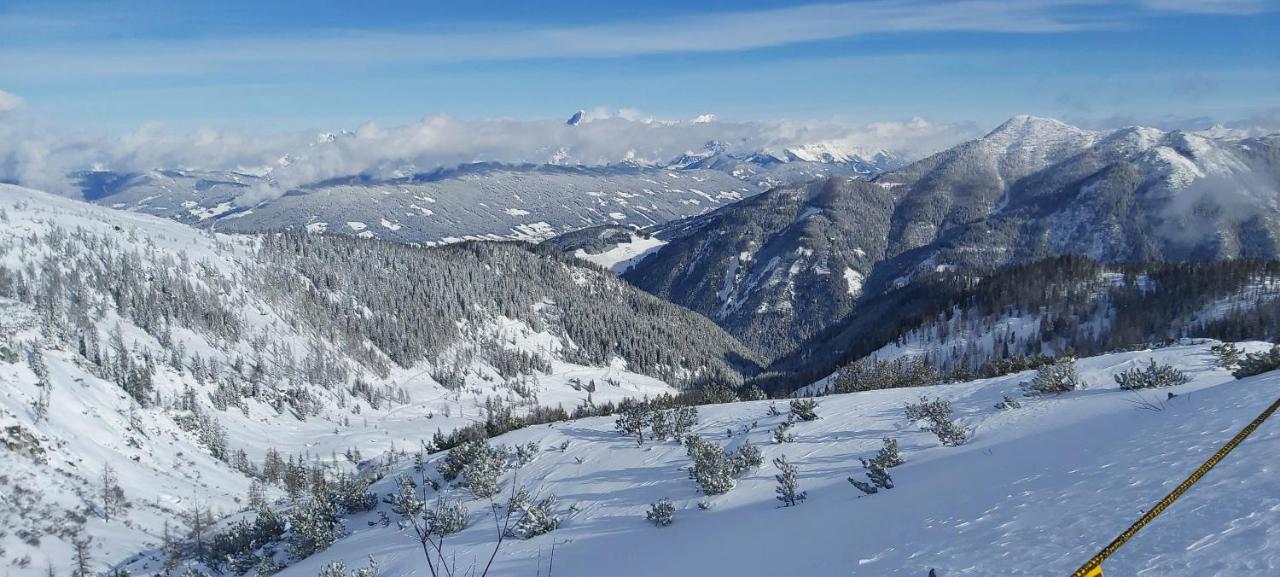 Michis Aparthotel Flachau Eksteriør bilde